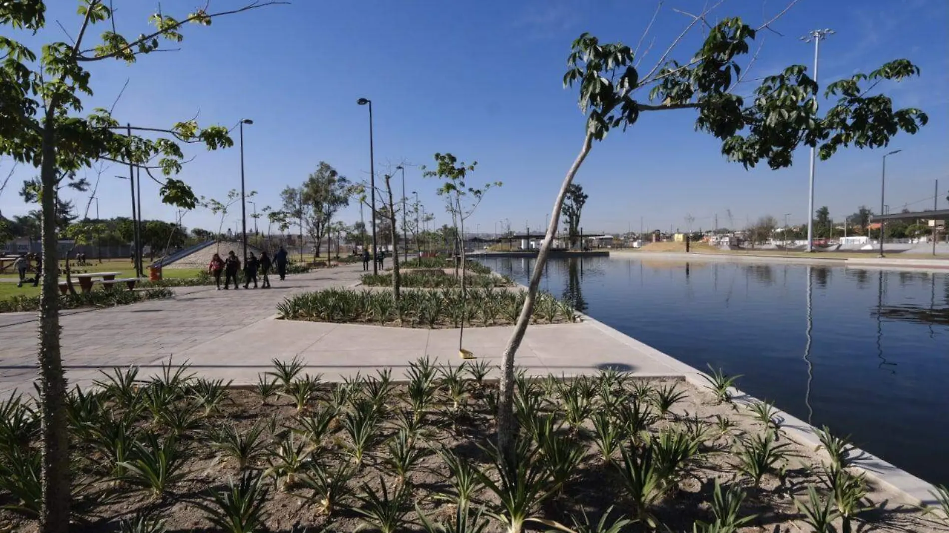 Remodelación Parque de la Solidaridad